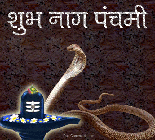 50 Best Nag Panchami Wish Pictures And Photos