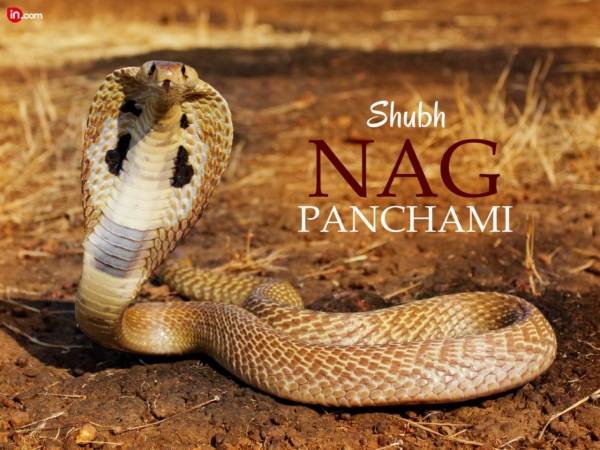 Shubh Nag Panchami Greetings Picture