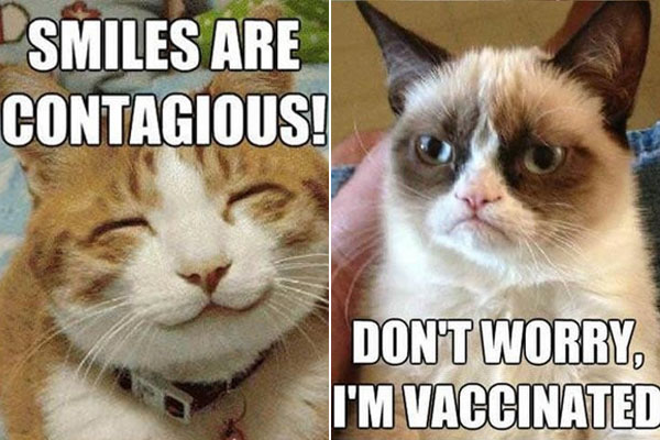 Smiles Are Contagious Don't Worry I Am Vaccinated Funny Grumpy Cat Meme Image