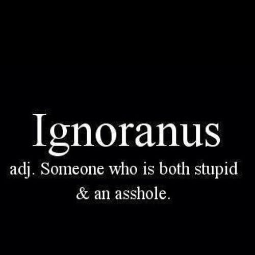 Someone Who Is Both Stupid & An Asshole Funny Definition Of Ignoranus Image
