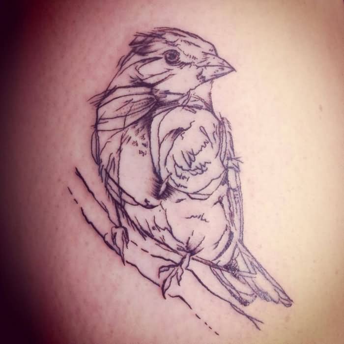 Sparrow Sketch Tattoo Design