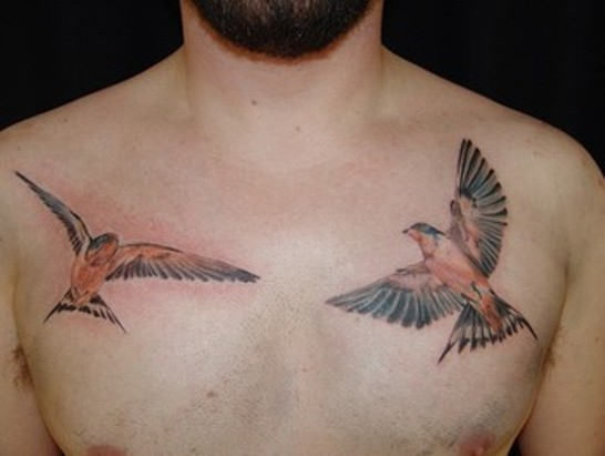 Sparrow Tattoos On Man Front Shoulders