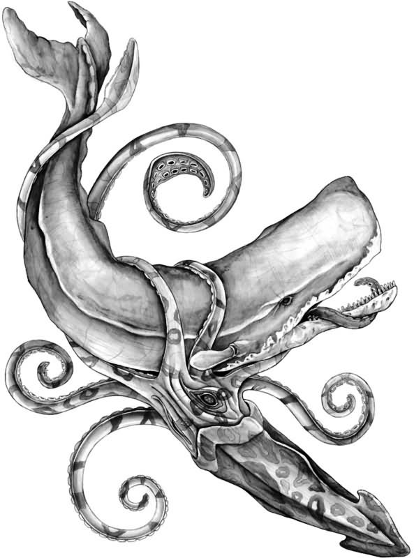 Sperm Whale And Squid Black And White Tattoo Design