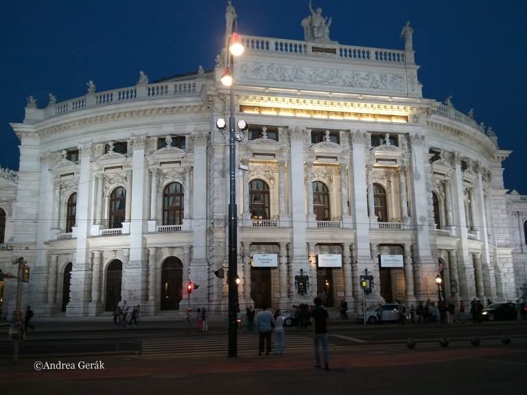 The Burgtheater In Vienna During Night Picture