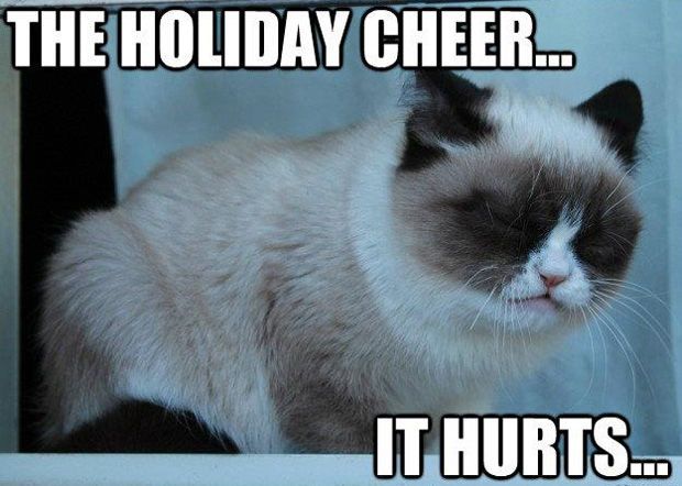 The Holiday Cheer It Hurts Funny Grumpy Cat Image