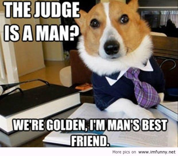 The Judge Is A Man We Are Golden I Am Man's Best Friend Funny Meme Image