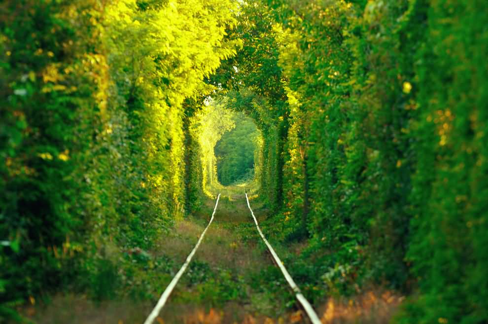 The Natural Tunnel Of Love In Ukraine