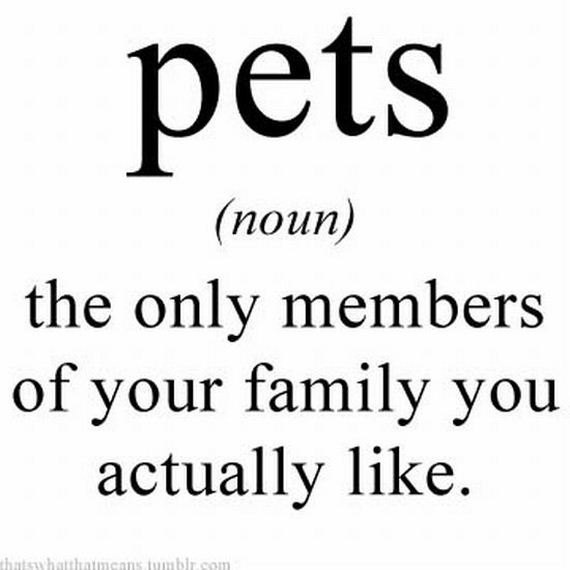 The Only Members Of Your Family You Actually Like Funny Pets Definition Picture