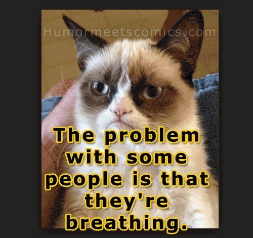 The Problem With Some People Is That They Are Breathing Funny Grumpy Cat Meme Image