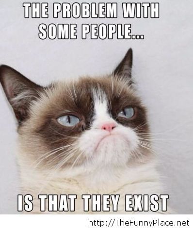 The Problem With Some People Is That They Exist Funny Grumpy Cat Photo