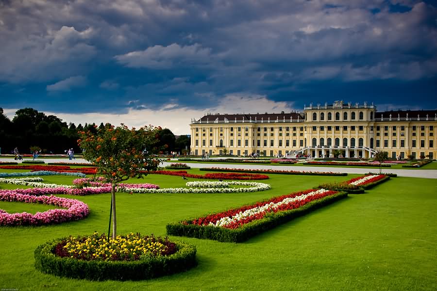 The Schonbrunn Palace And Garden Picture