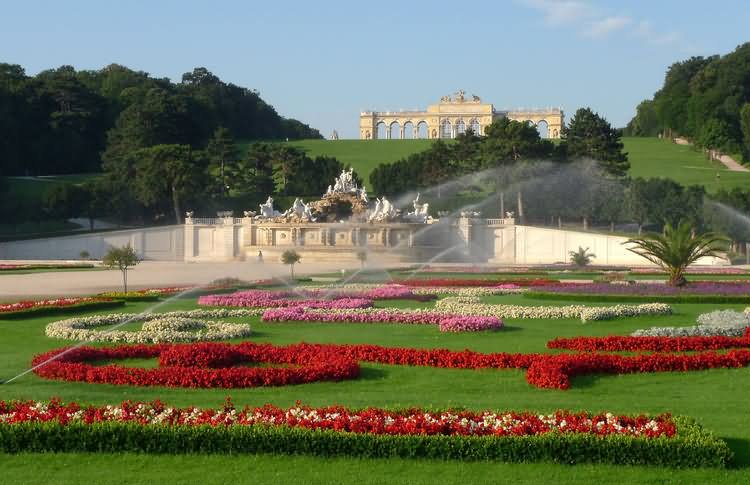 The Schonbrunn Palace And Gloriette Picture