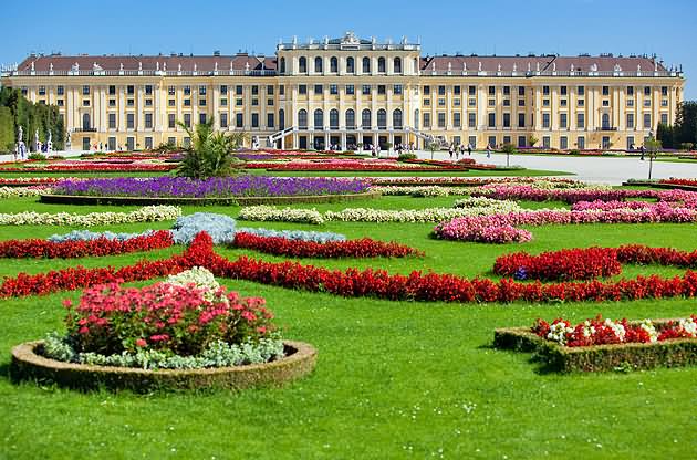 The Schonbrunn Palace View From The Garden