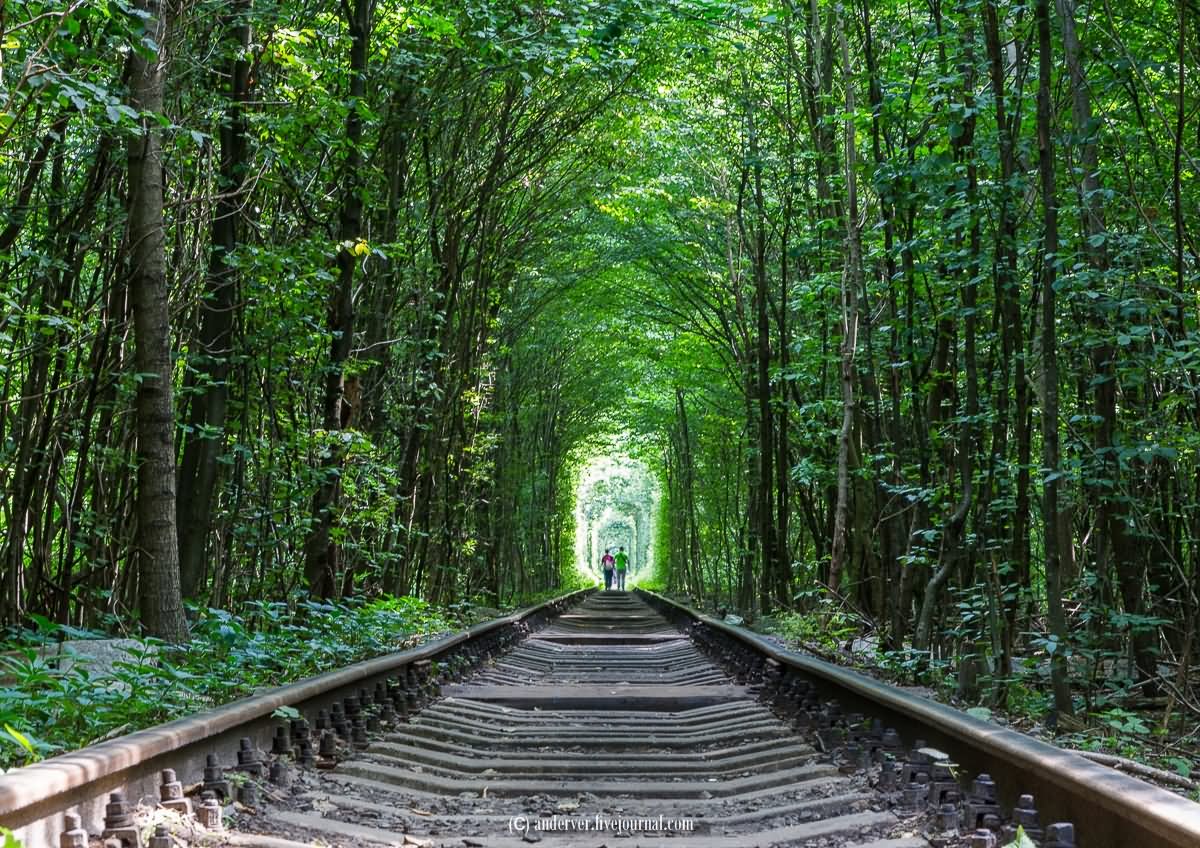 The Tunnel Of Love A Beautiful Train Track In Ukraine