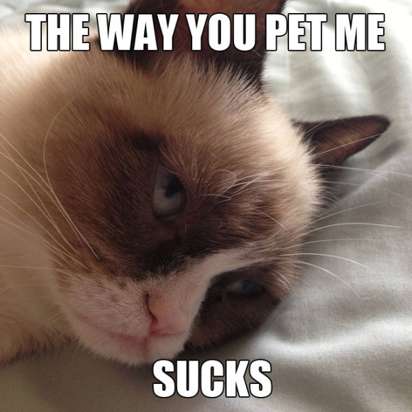 The Way You Pet Me Sucks Funny Grumpy Cat Meme Image