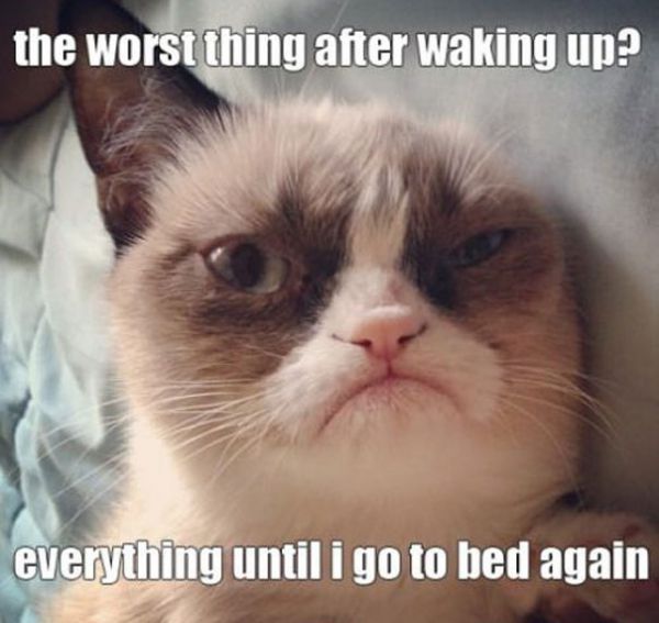 The Worst Thing After Waking Up Everything Until I Go To Bed Again Funny Grumpy Cat Meme Image