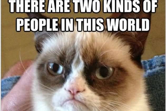 There Are Two Kids Of People In This World Funny Grumpy Cat Meme Picture