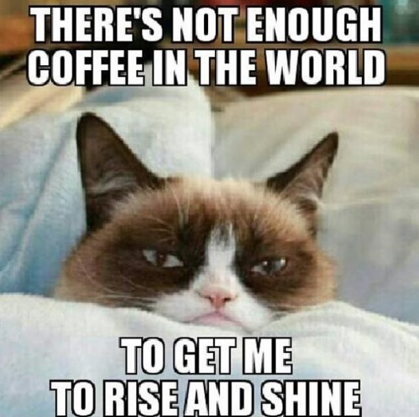 There's Not Enough Coffee In The World To Get Me To Rise And Shine Funny Grumpy Cat Meme Image