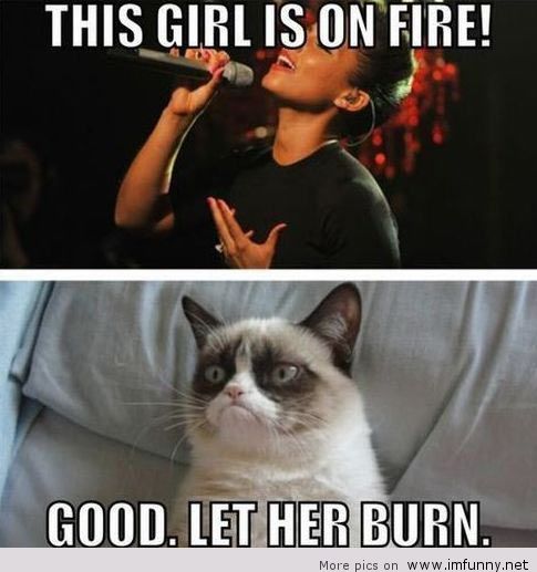 This Girl Is On Fire Good Let Her Burn Funny Grumpy Cat Meme Picture