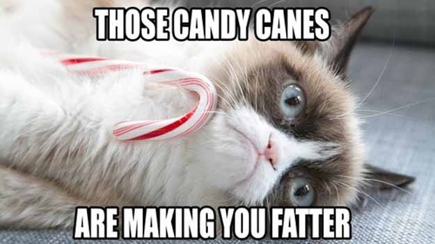 Those Candy Canes Are Making You Fatter Funny Grumpy Cat Meme Picture