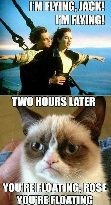 Titanic Couple Trolled By Grumpy Cat Funny Meme Picture