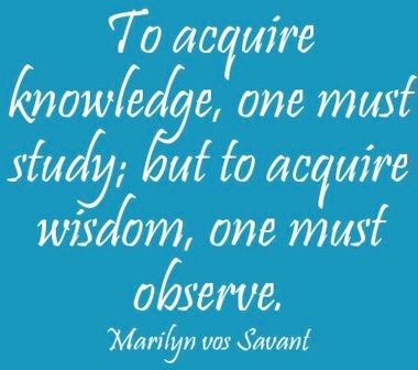 To acquire knowledge, one must study, but to acquire wisdom one must observe  - Marilyn vos Savant