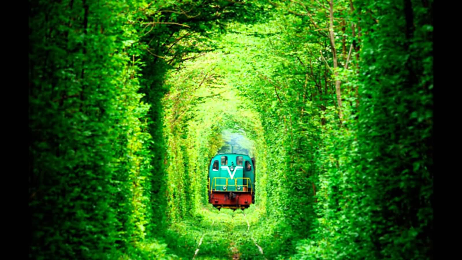 Train Passing From The Tunnel Of Love In Ukraine