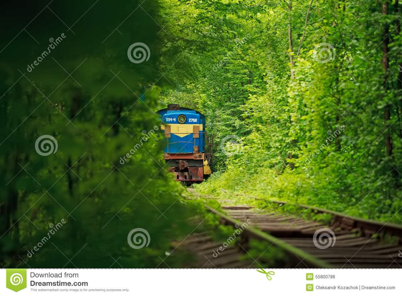Train Passing From The Tunnel Of Love