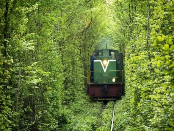 Train Passing From Tunnel Of Love In Ukraine
