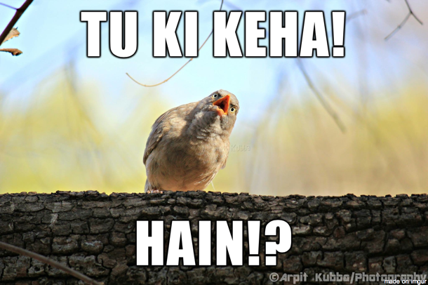 Tu Ki Keha Hain Funny Punjabi Meme Picture