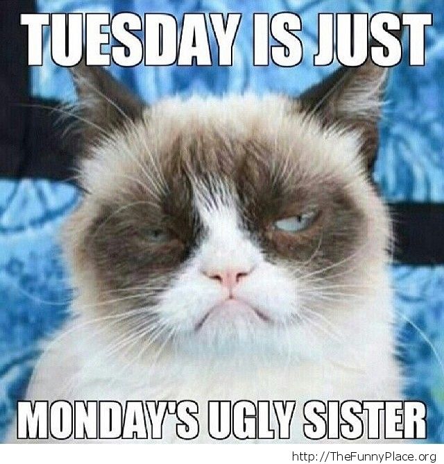 Tuesday Is Just Monday's Ugly Sister Funny Grumpy Cat Picture