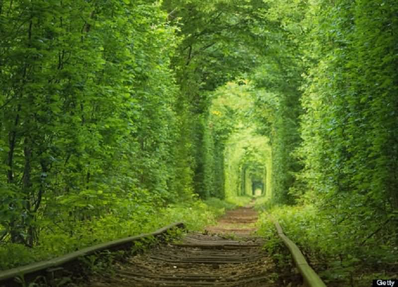 Tunnel Of Love A Fairytale Train Track In Klevan, Ukraine