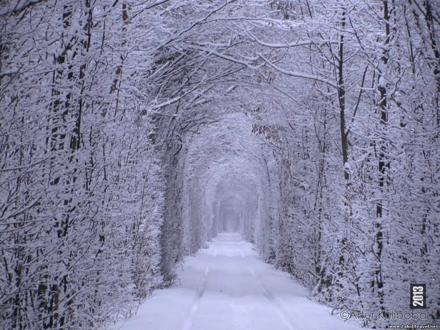 Tunnel Of Love Fully Covered With Snow During Winter