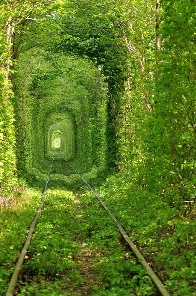 Tunnel Of Love In Klevan, Ukraine