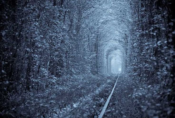 Tunnel Of Love In Ukraine During Winters
