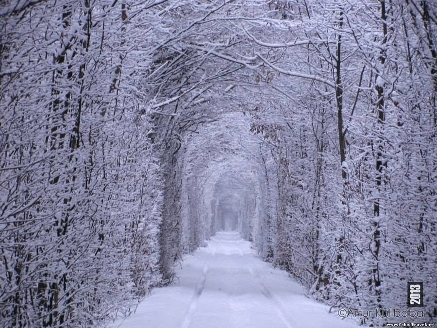 Tunnel Of Love In Winter Season In Ukraine