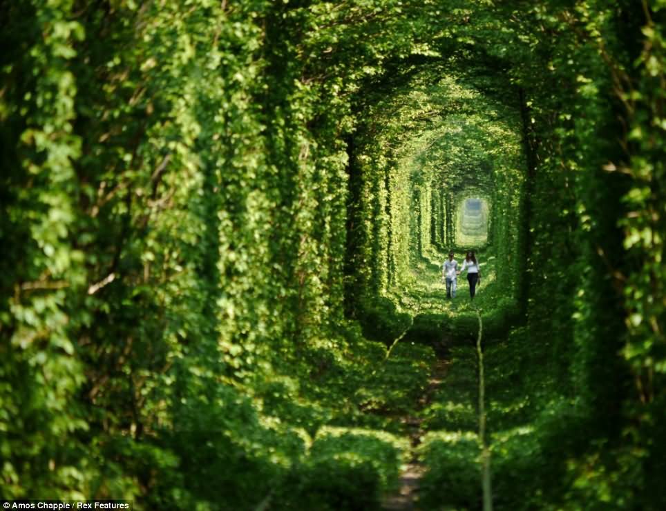 Two Girls Walk Through The Tunnel Of Love In Ukraine