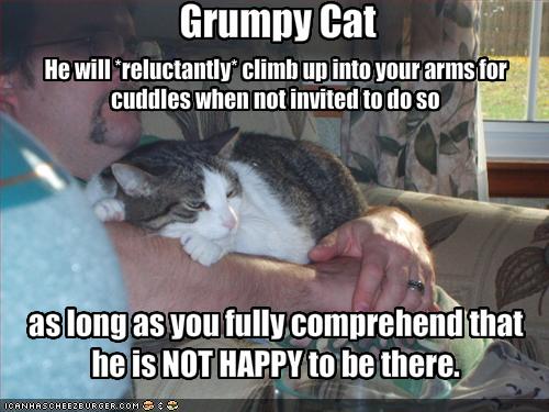 Very Funny Grumpy Cat Meme Image