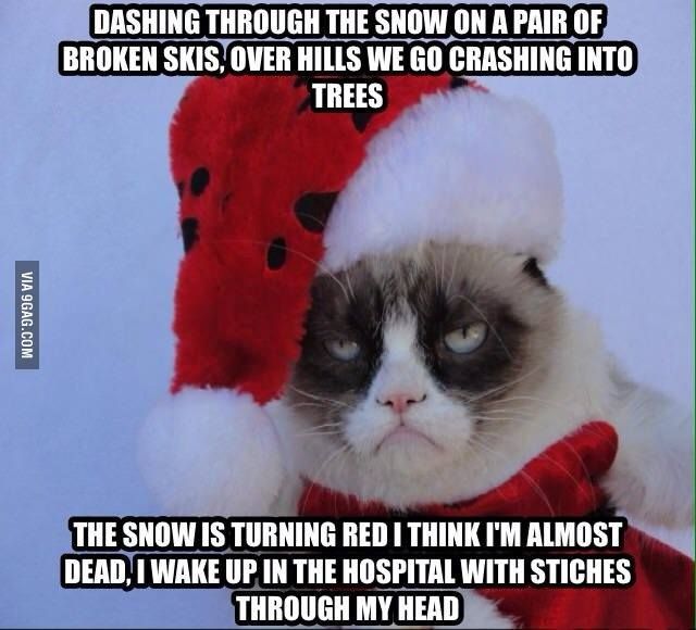Very Funny Grumpy Cat Meme Picture For Whatsaap