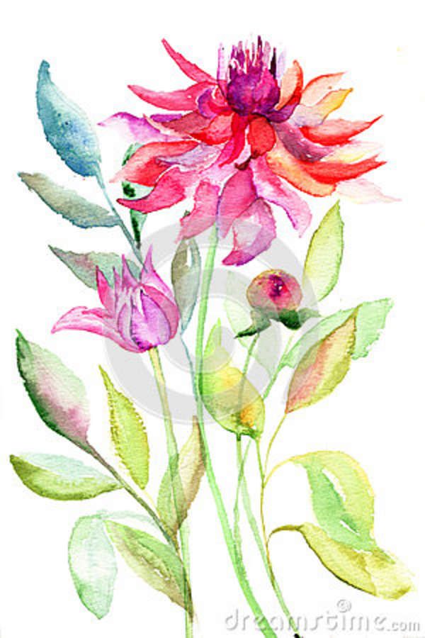 Watercolor Dahlia Flowers Tattoo Design
