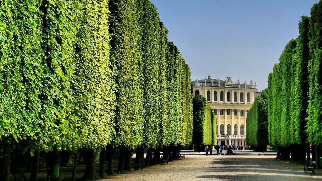 Way To The Schonbrunn Palace In Vienna, Austria