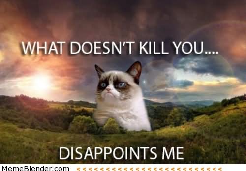 What Doesn't Kill You Disappoints Me Funny Grumpy Cat Meme Image