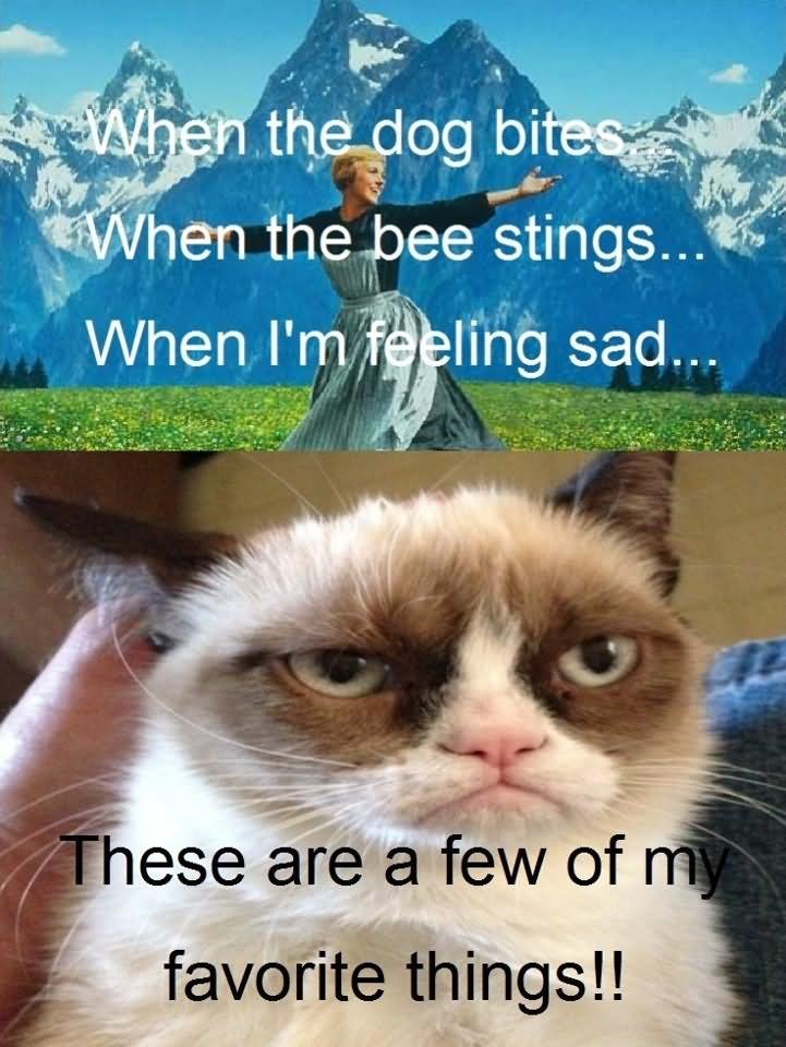When The Dog Bites When The Bee Stings When I Am Feeling Sad These Are A Few Of My Favorite Things Funny Grumpy Cat Image