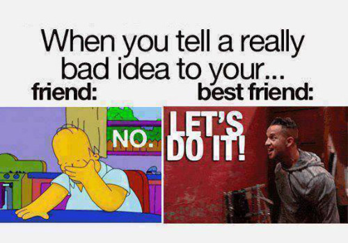 When You Tell A Really Bad Idea To Friend And Best Friend Funny Best Friends Meme Picture