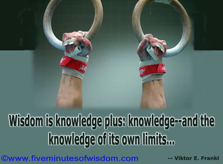 Wisdom is knowledge plus knowledge and the knowledge of its own limits.