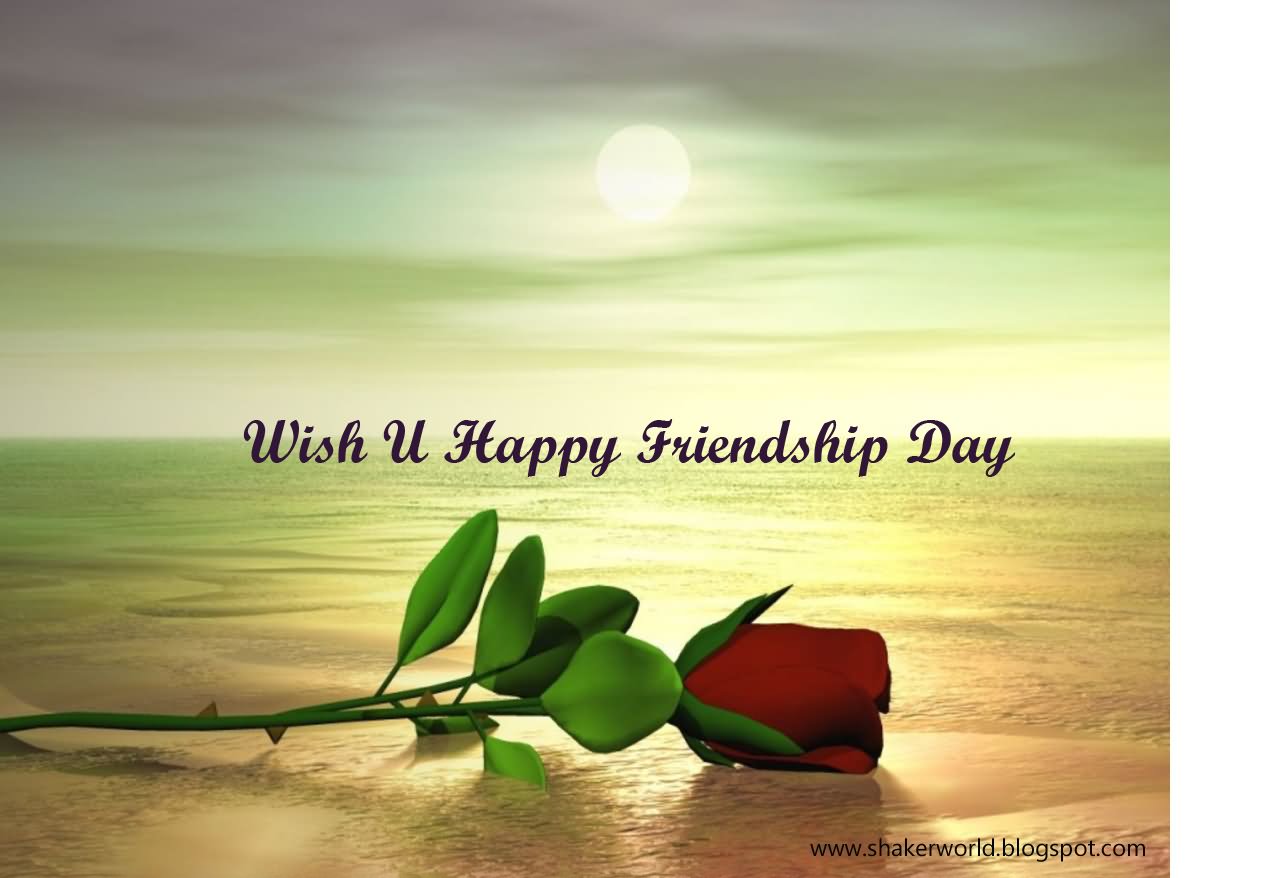 Wish You Happy Friendship Day