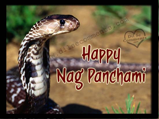 Wish You Happy Nag Panchami 2016