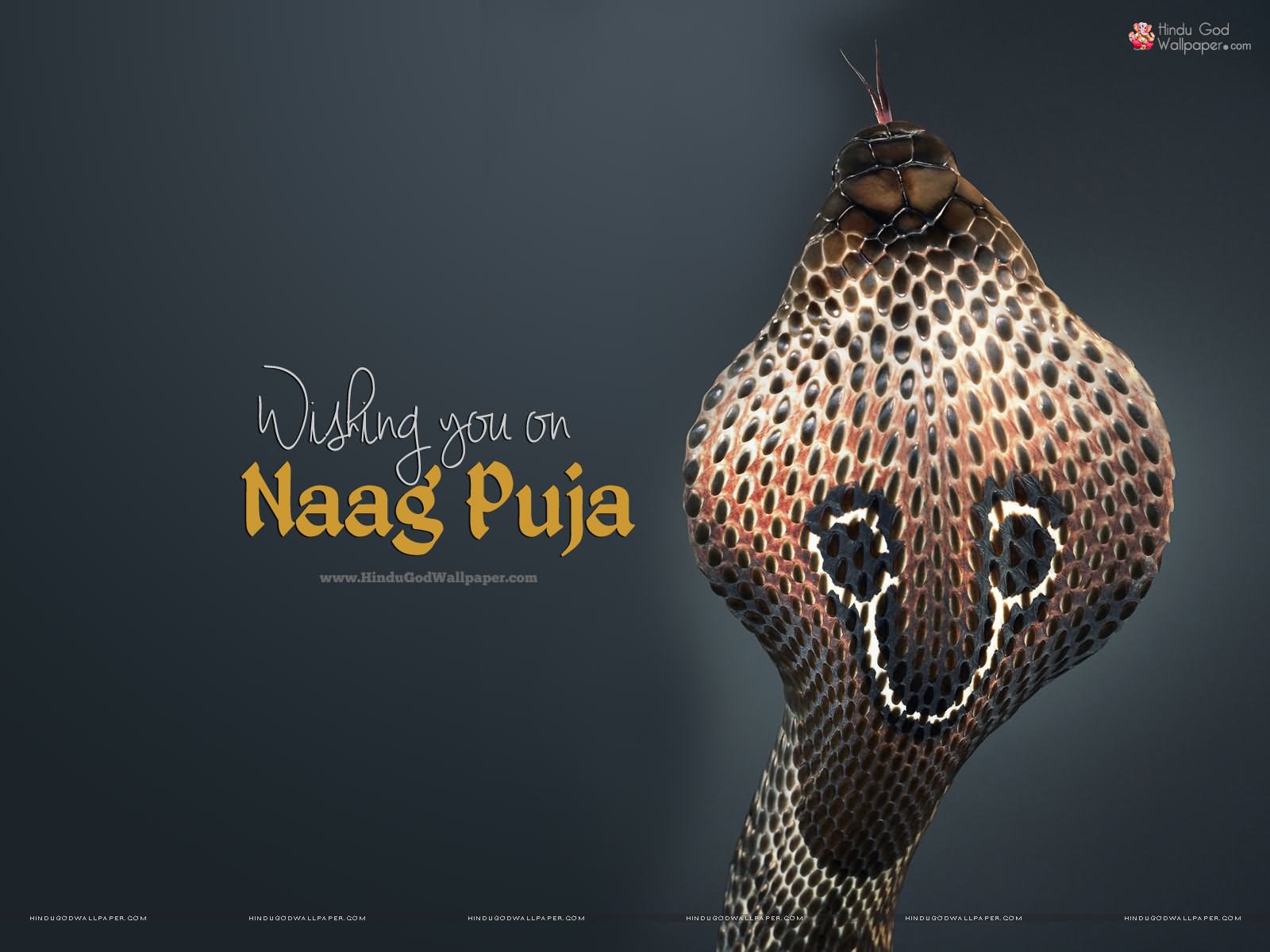 Wishing You A Naag Puja Picture
