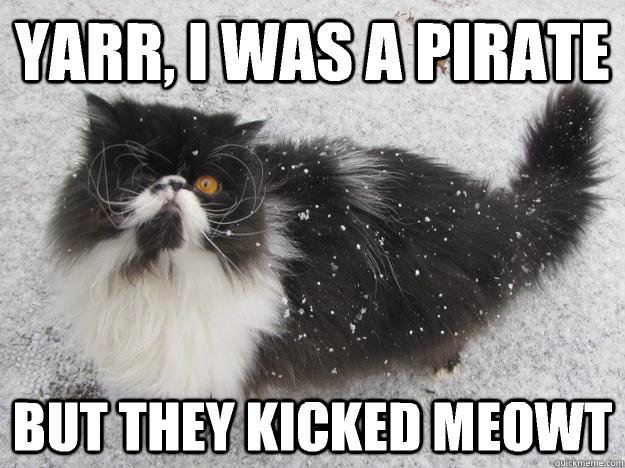 Yarr, I Was A Pirate But They Kicked Meowt Funny Grumpy Cat Meme Picture