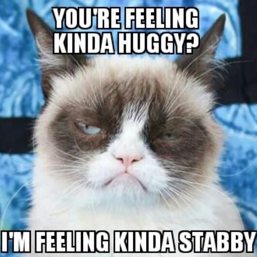 You Are Feeling Kinda Huggy I Am Feeling Kinda Stabby Funny Grumpy Cat Meme Image